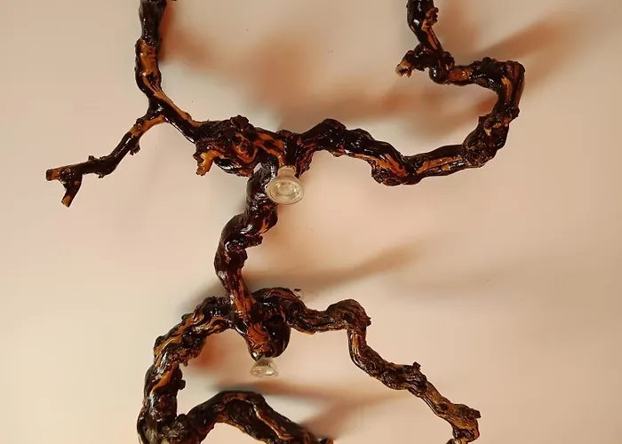 Rincon Oasis Villa Nazaret